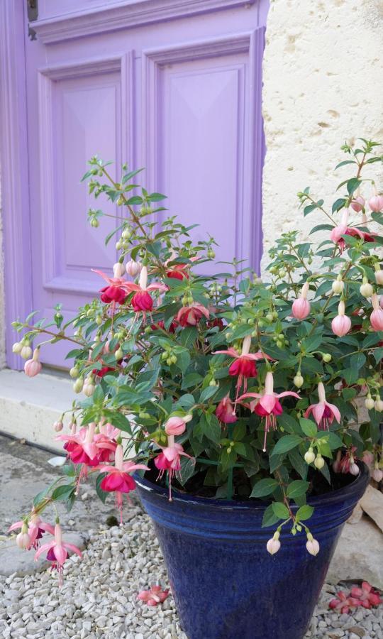 Gite Rural La Maison Mauve Ventouse Exterior photo